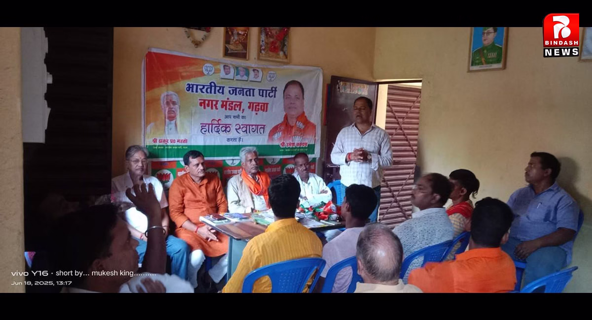 भाजपा नगर मंडल ने किया 11 साल बेमिसाल का आयोजन