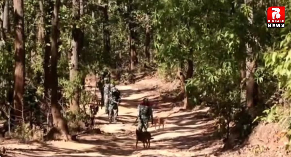 पलामू में भीषण मुठभेड़, दो जवान शहीद