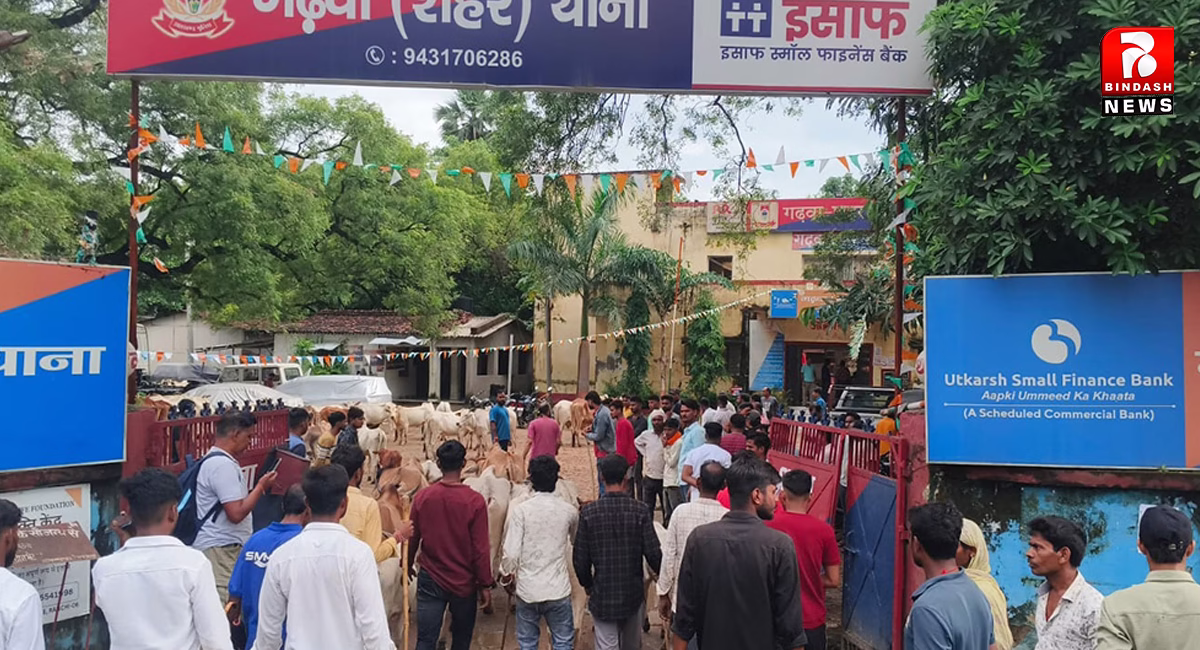 बड़े पैमाने पर जारी प्रतिबंधित गोवंशीय पशुओं की तस्करी का खुलासा