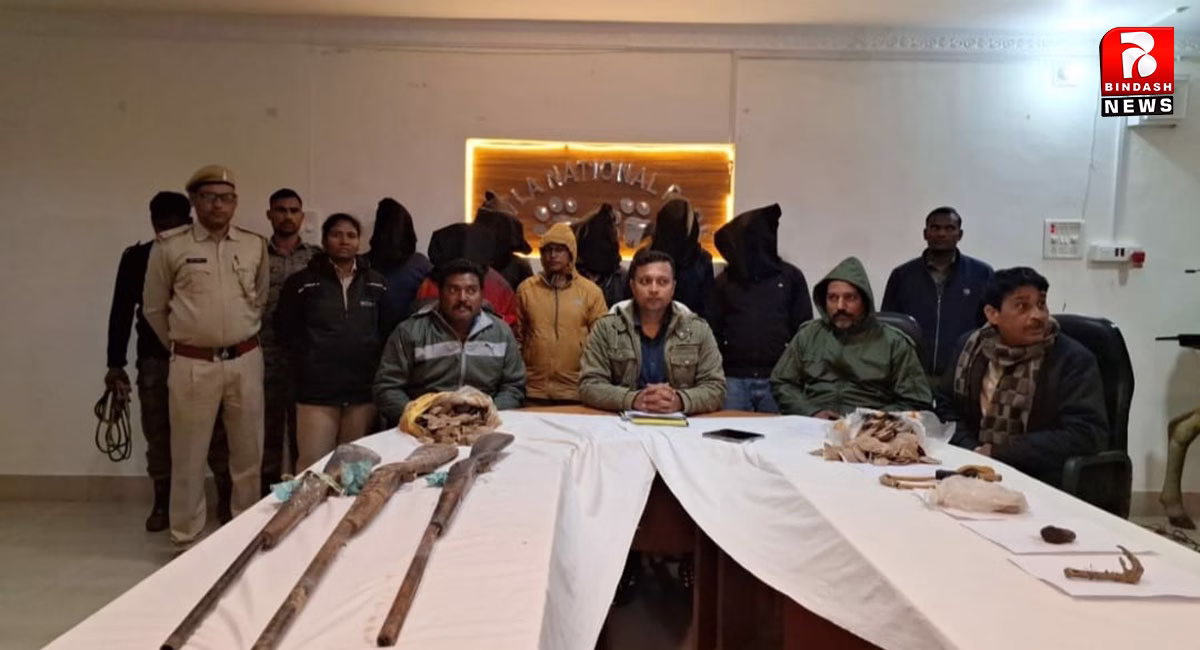 दो मुंहा सांप की साउथ ईस्ट एशिया में हो रही तस्करी